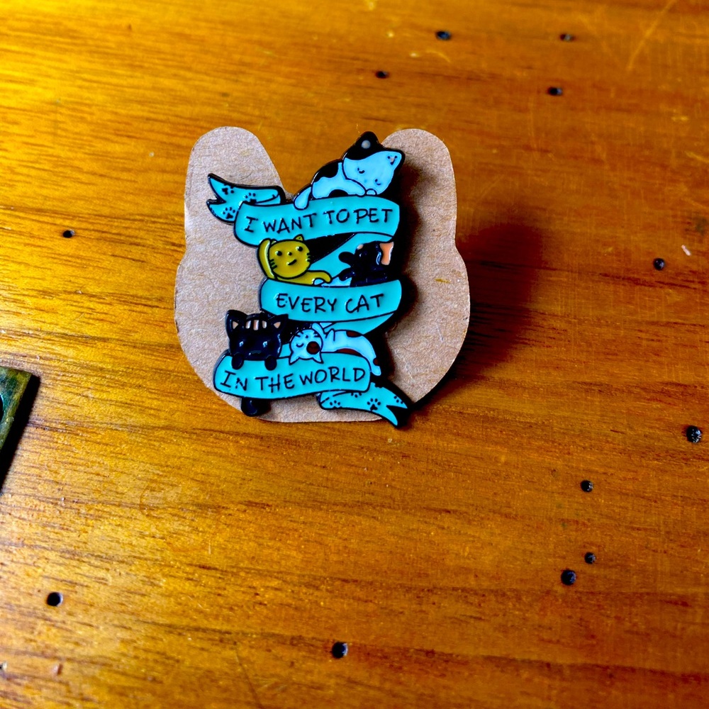Cute Cat Pin!